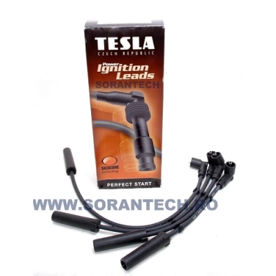 SET FISE BUJII TESLA SOLENZA, LOGAN MPI