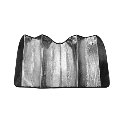 PARASOLAR PARBRIZ DUSTER 2