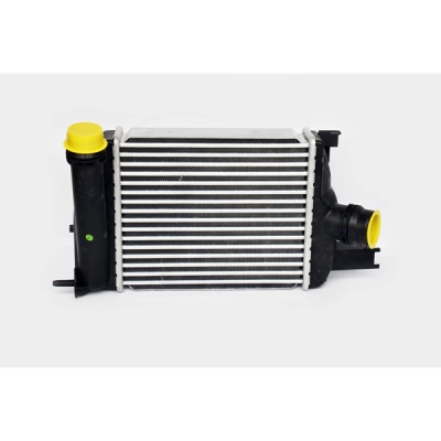 INTERCOOLER THERMIX LOG.II/DOKKER/LODGY 
