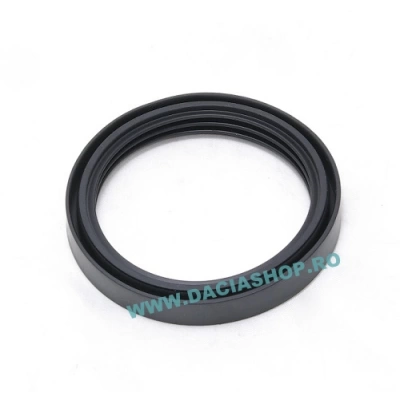 GARNITURA DE ORIGINE CARCASA FILTRU-CLAPETA LGN