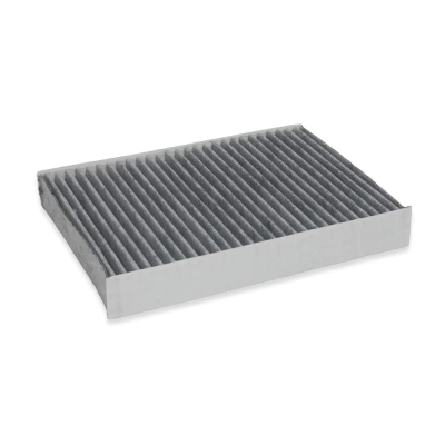 FILTRU HABITACLU C.A.