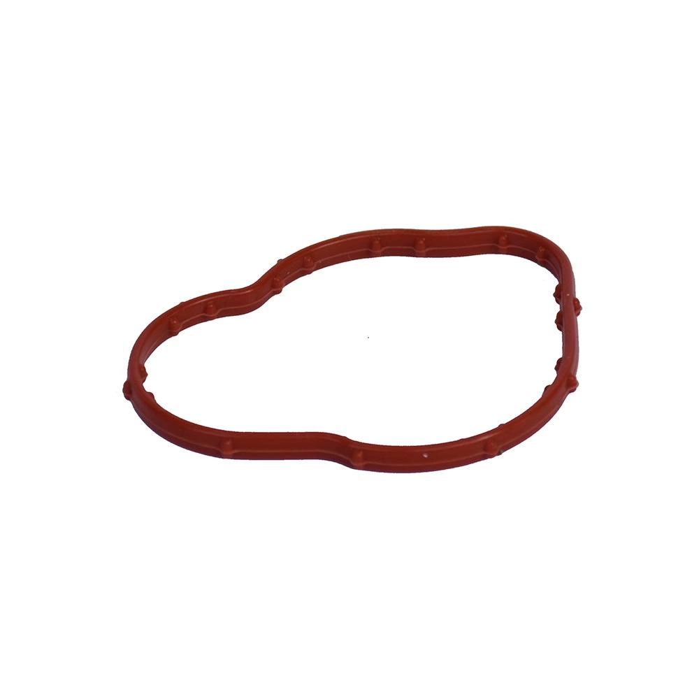 GARNITURA CORP TERMOSTAT