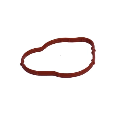 GARNITURA CORP TERMOSTAT