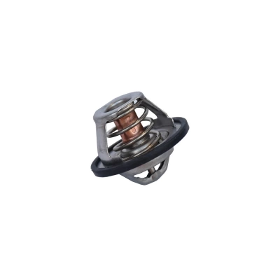 TERMOSTAT LICHID RACIRE