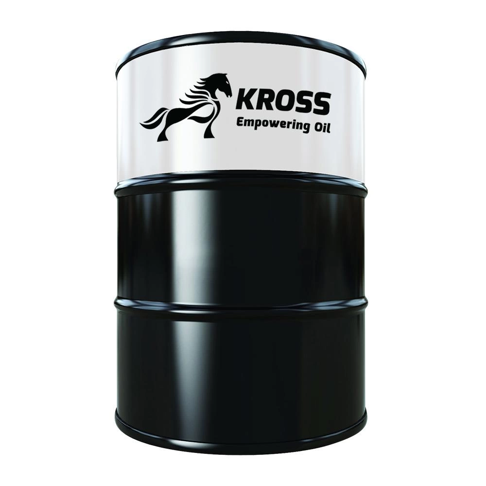 KROSS EXEO 5W30 C2 - 208L