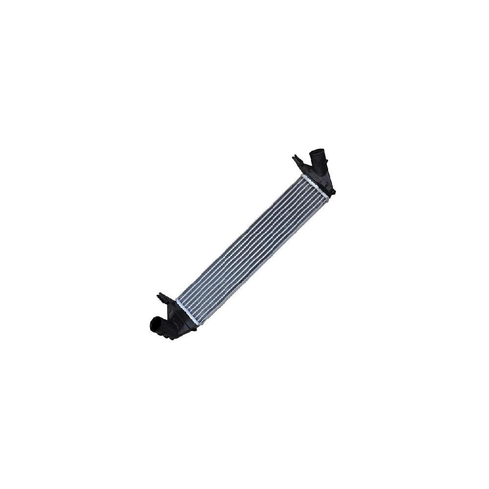 RADIATOR INTERCOOLER (LUNG)