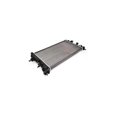RADIATOR MOTOR