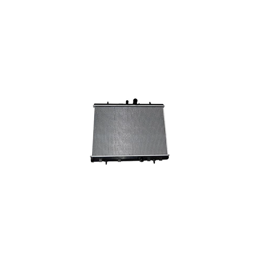 RADIATOR MOTOR