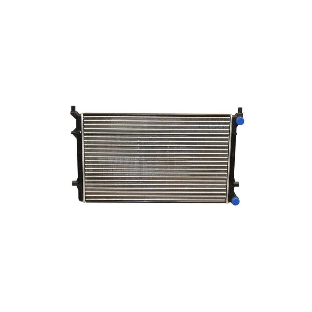 RADIATOR MOTOR