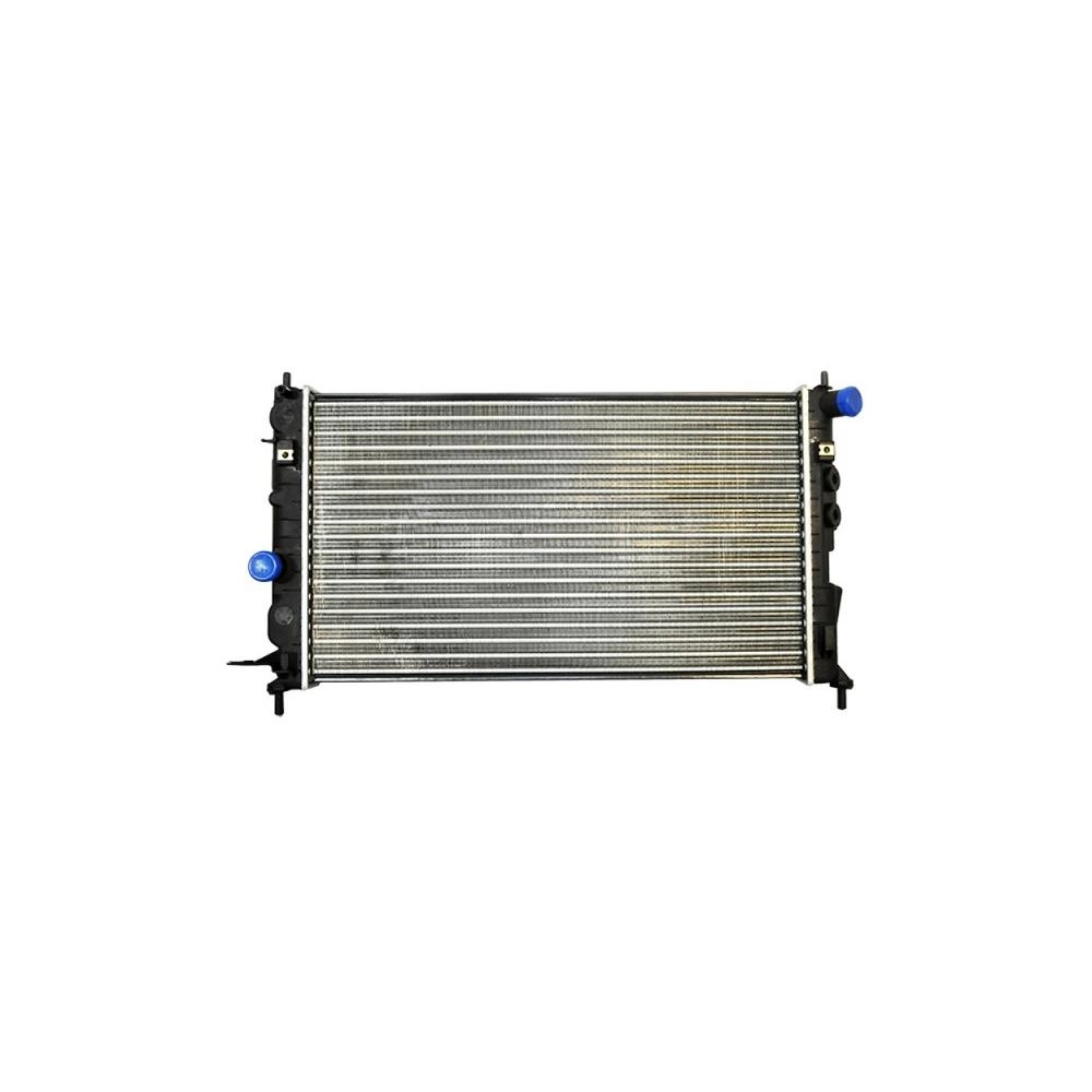 RADIATOR MOTOR