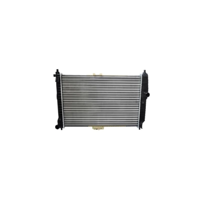 RADIATOR MOTOR
