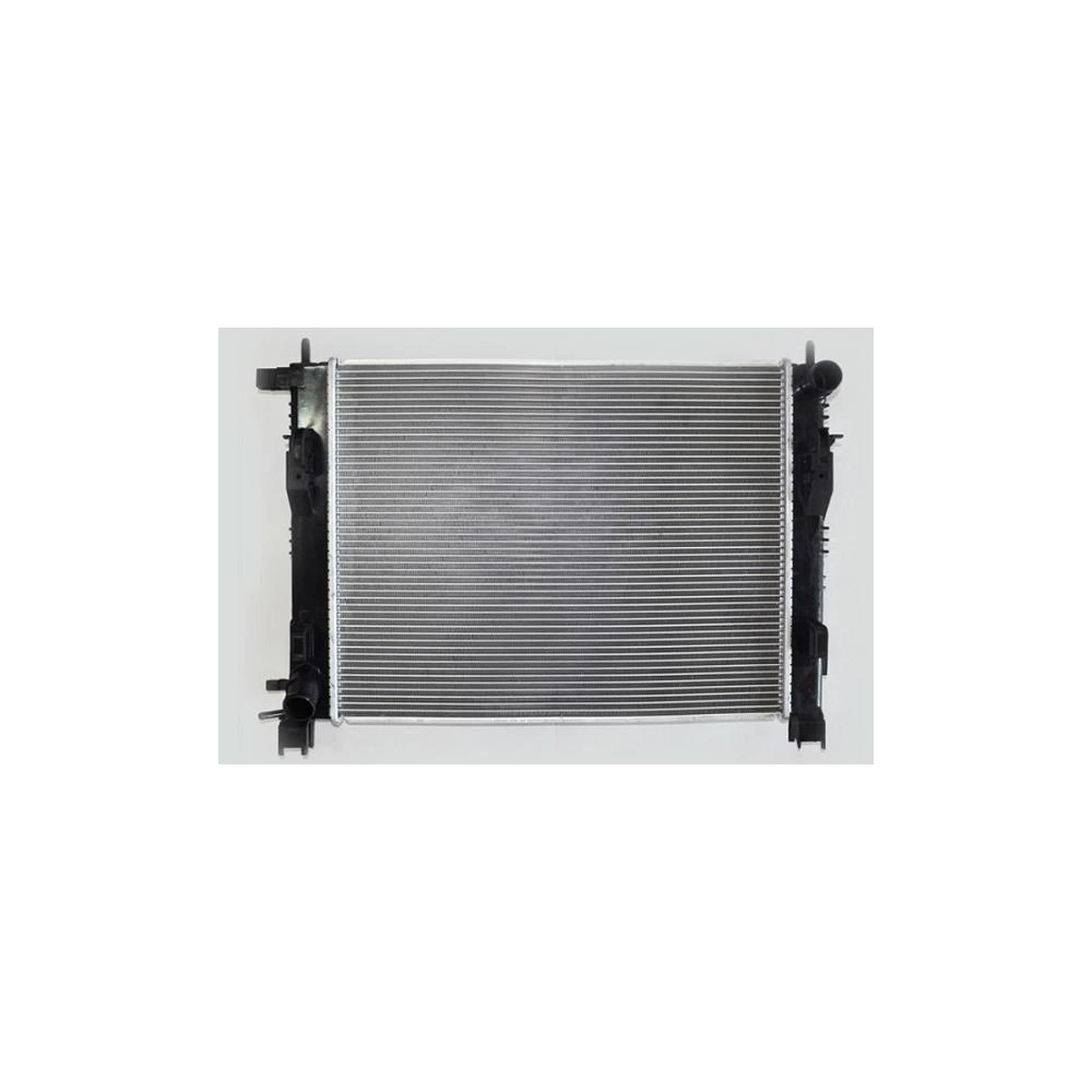 RADIATOR MOTOR