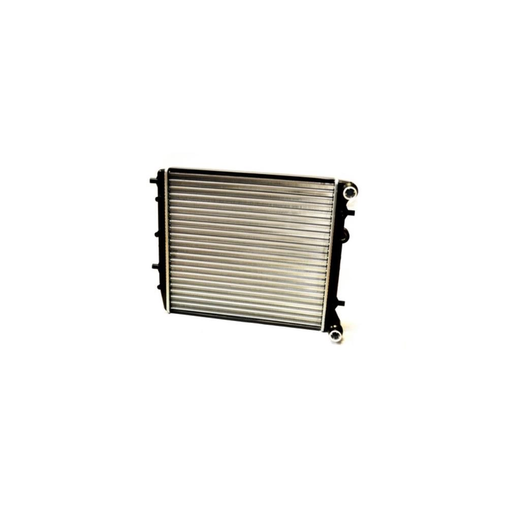 RADIATOR MOTOR