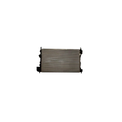 RADIATOR MOTOR