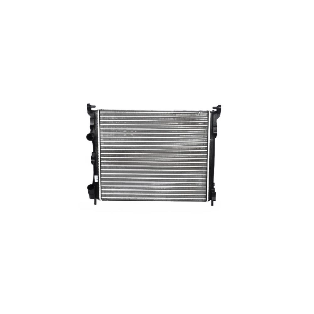 RADIATOR MOTOR
