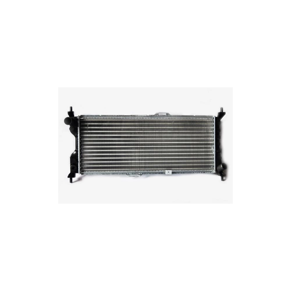 RADIATOR MOTOR