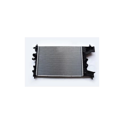 RADIATOR MOTOR