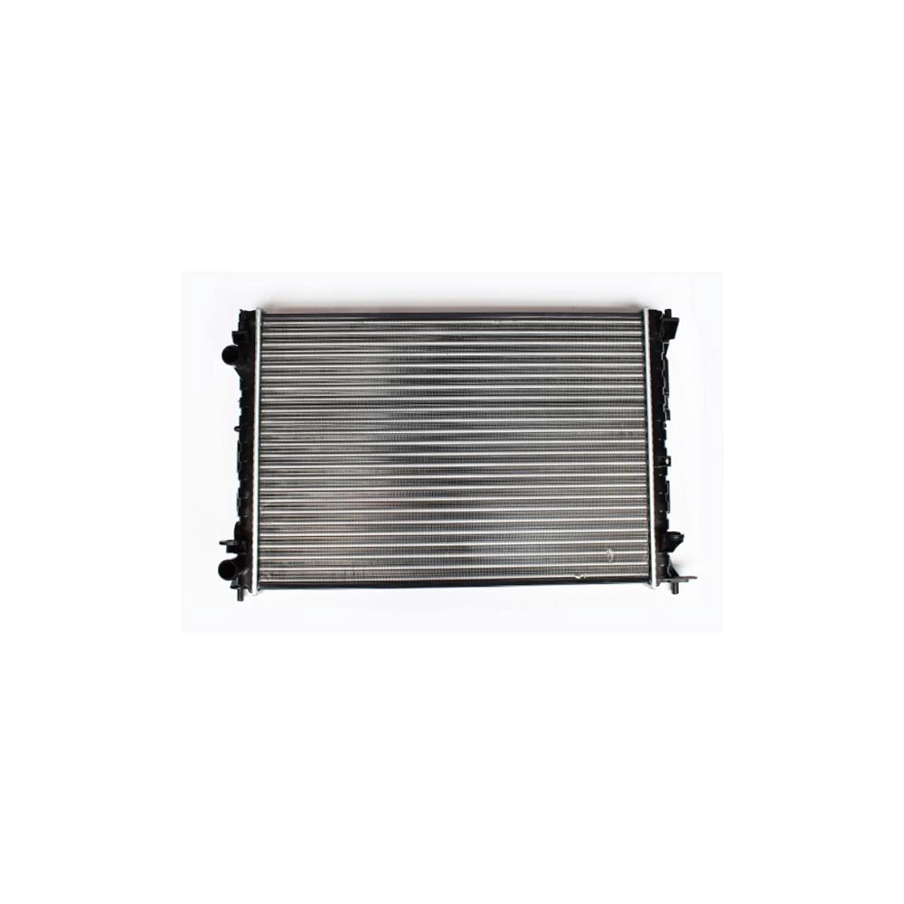 RADIATOR MOTOR