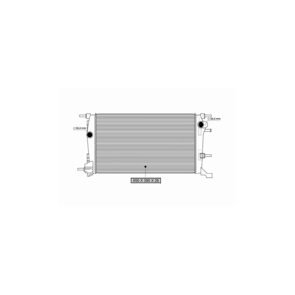 RADIATOR MOTOR