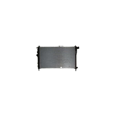 RADIATOR MOTOR
