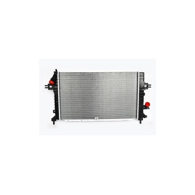 RADIATOR MOTOR