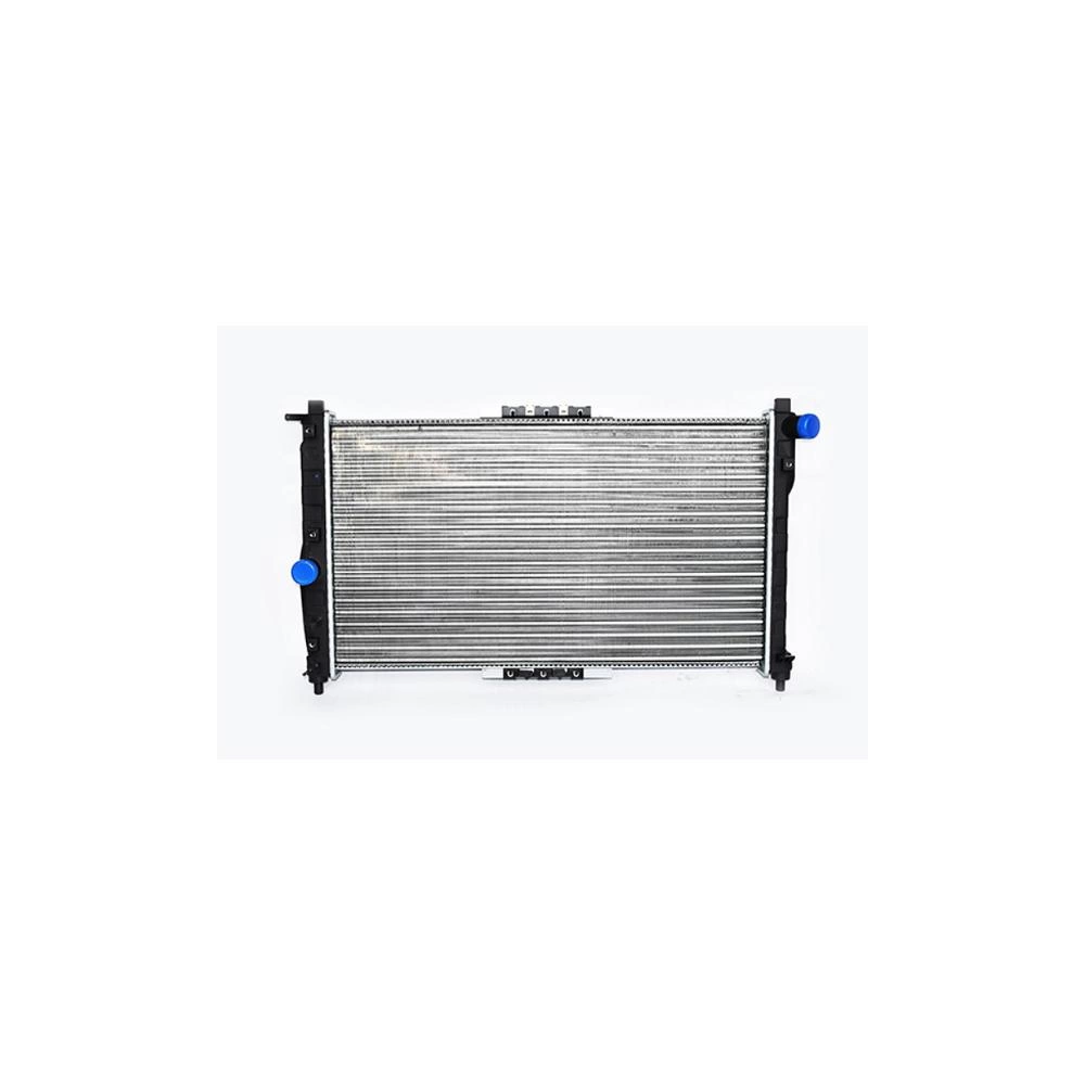 RADIATOR MOTOR