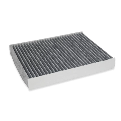 FILTRU HABITACLU