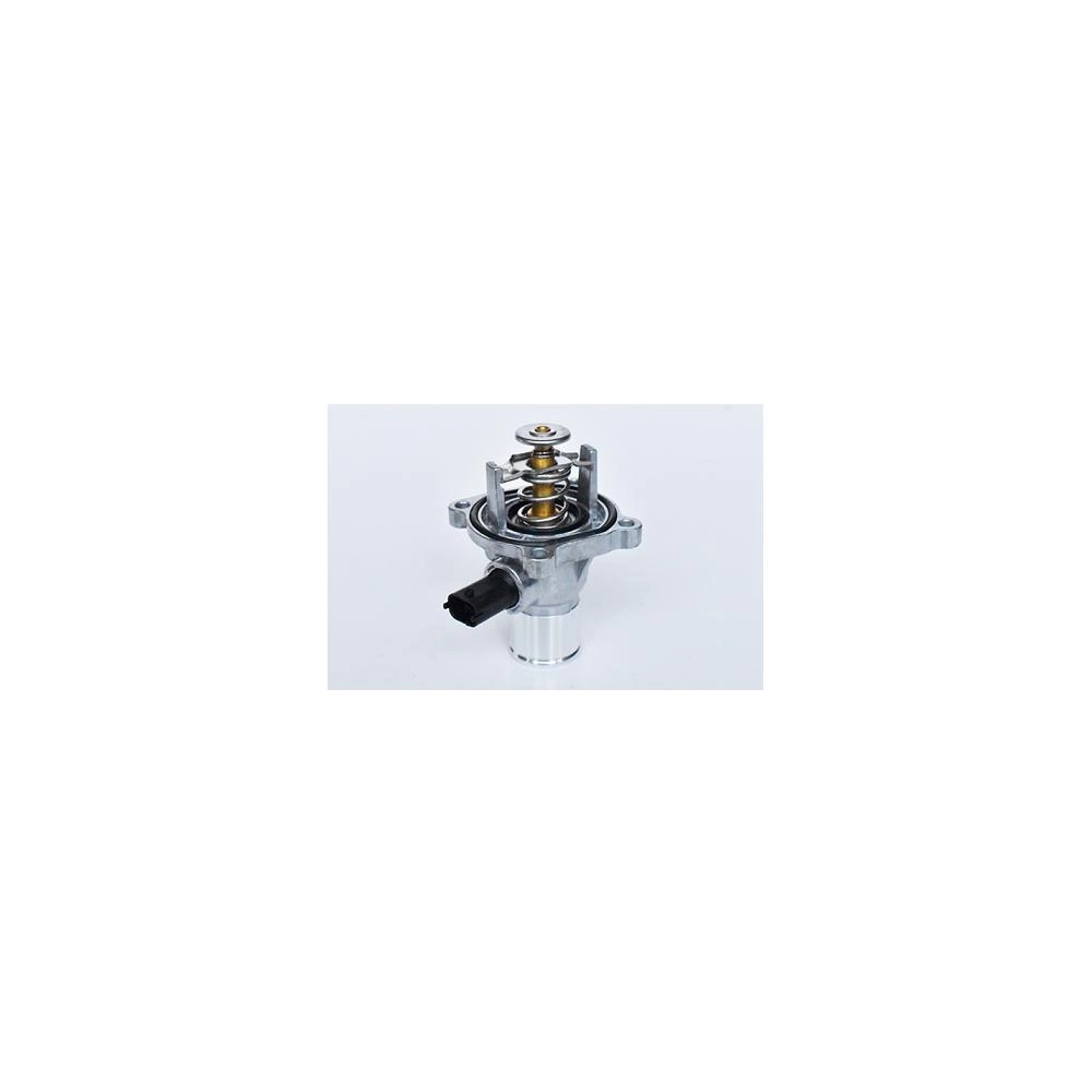 TERMOSTAT LICHID RACIRE