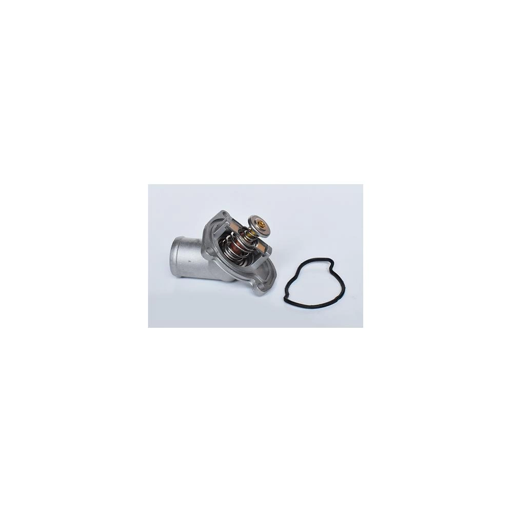 TERMOSTAT LICHID RACIRE
