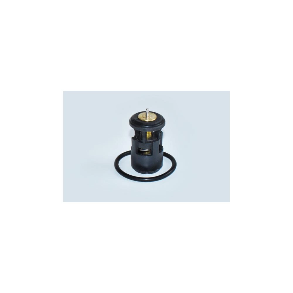 TERMOSTAT LICHID RACIRE