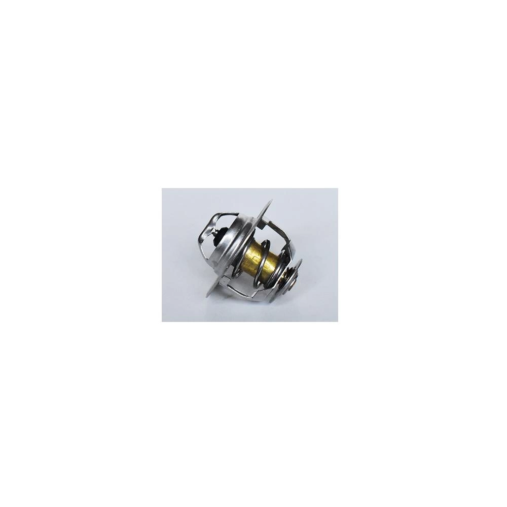 TERMOSTAT LICHID RACIRE