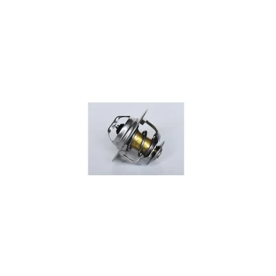 TERMOSTAT LICHID RACIRE