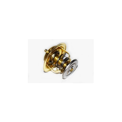 TERMOSTAT LICHID RACIRE