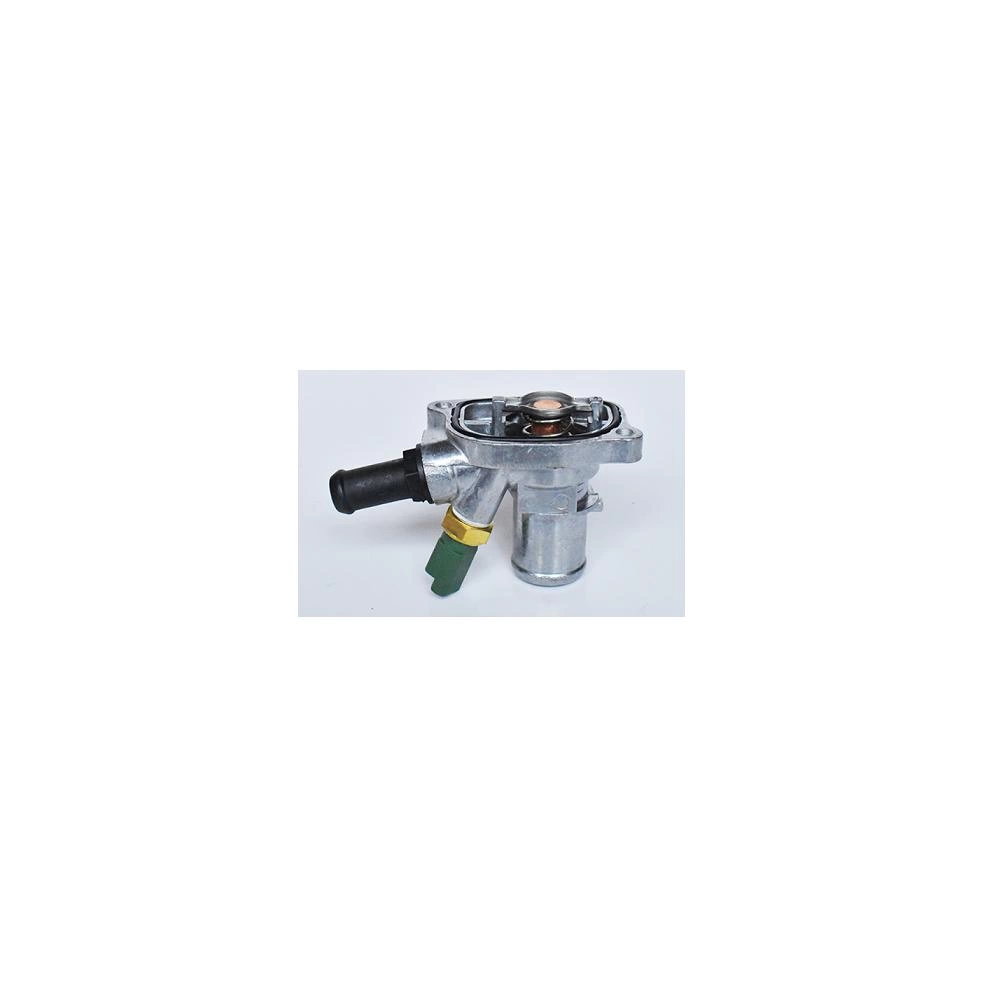 TERMOSTAT LICHID RACIRE