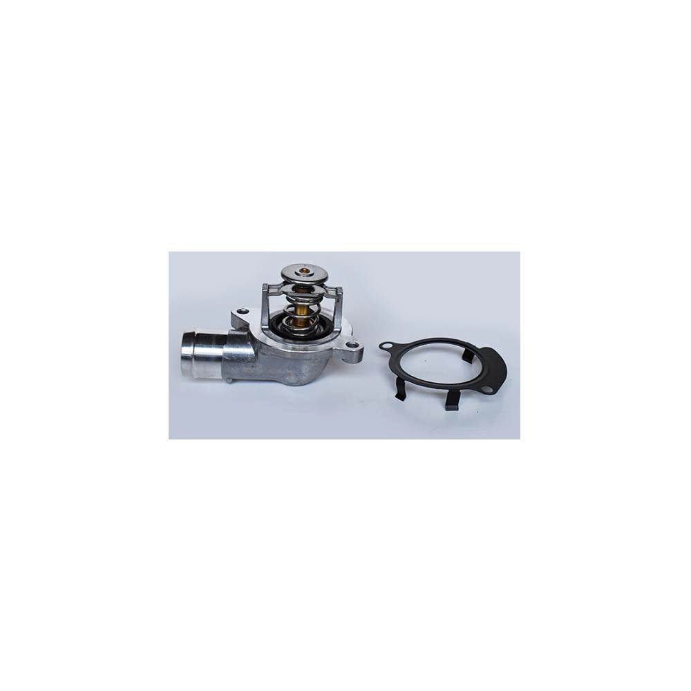 TERMOSTAT LICHID RACIRE