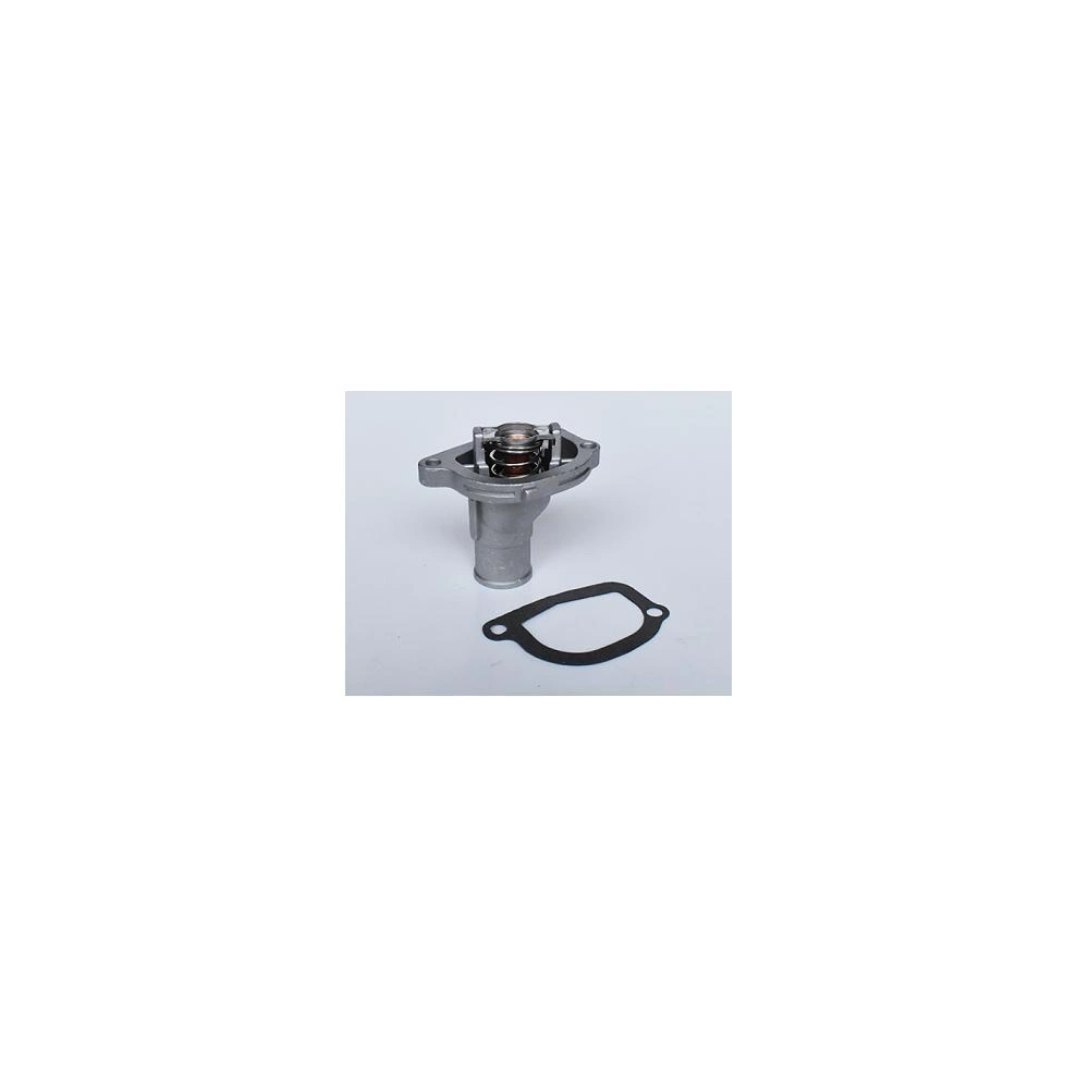 TERMOSTAT LICHID RACIRE