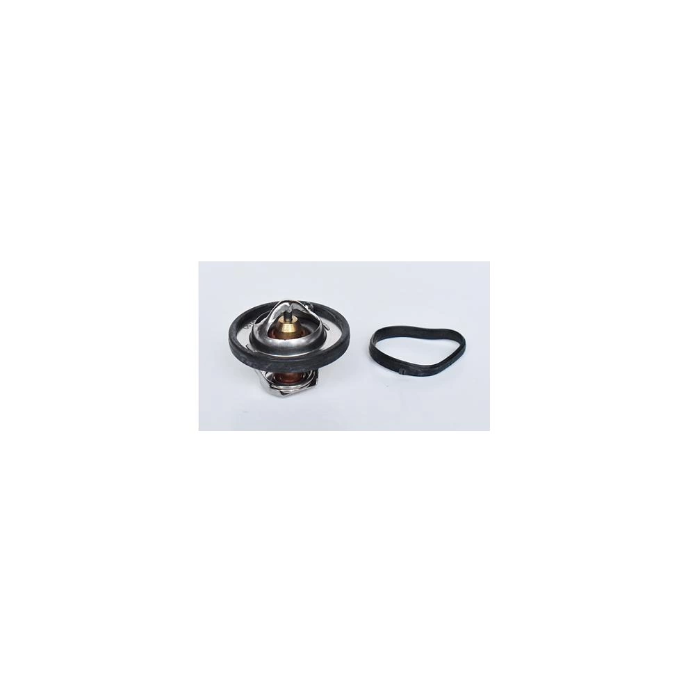 TERMOSTAT LICHID RACIRE