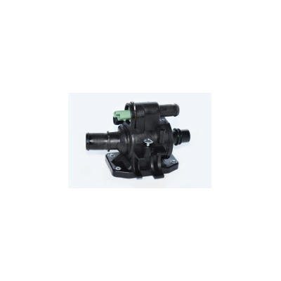TERMOSTAT LICHID RACIRE