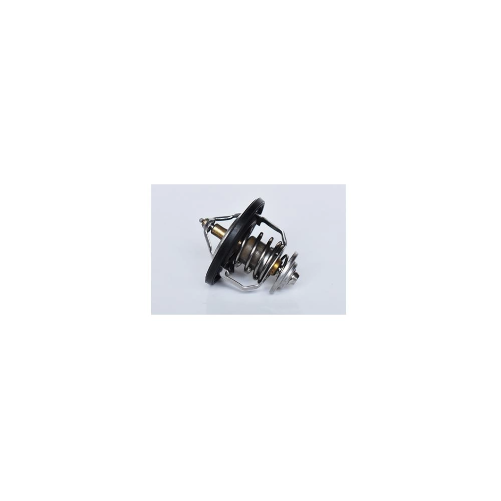 TERMOSTAT LICHID RACIRE
