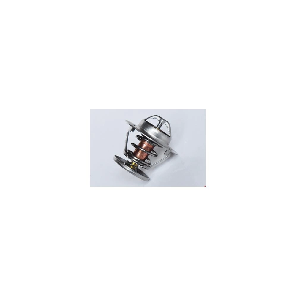 TERMOSTAT LICHID RACIRE