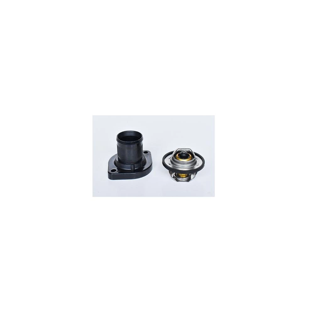 TERMOSTAT LICHID RACIRE