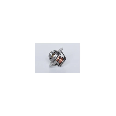 TERMOSTAT LICHID RACIRE