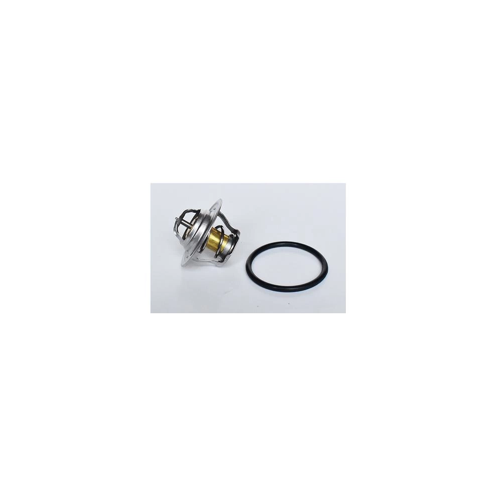 TERMOSTAT LICHID RACIRE