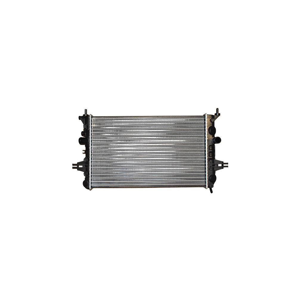 RADIATOR MOTOR