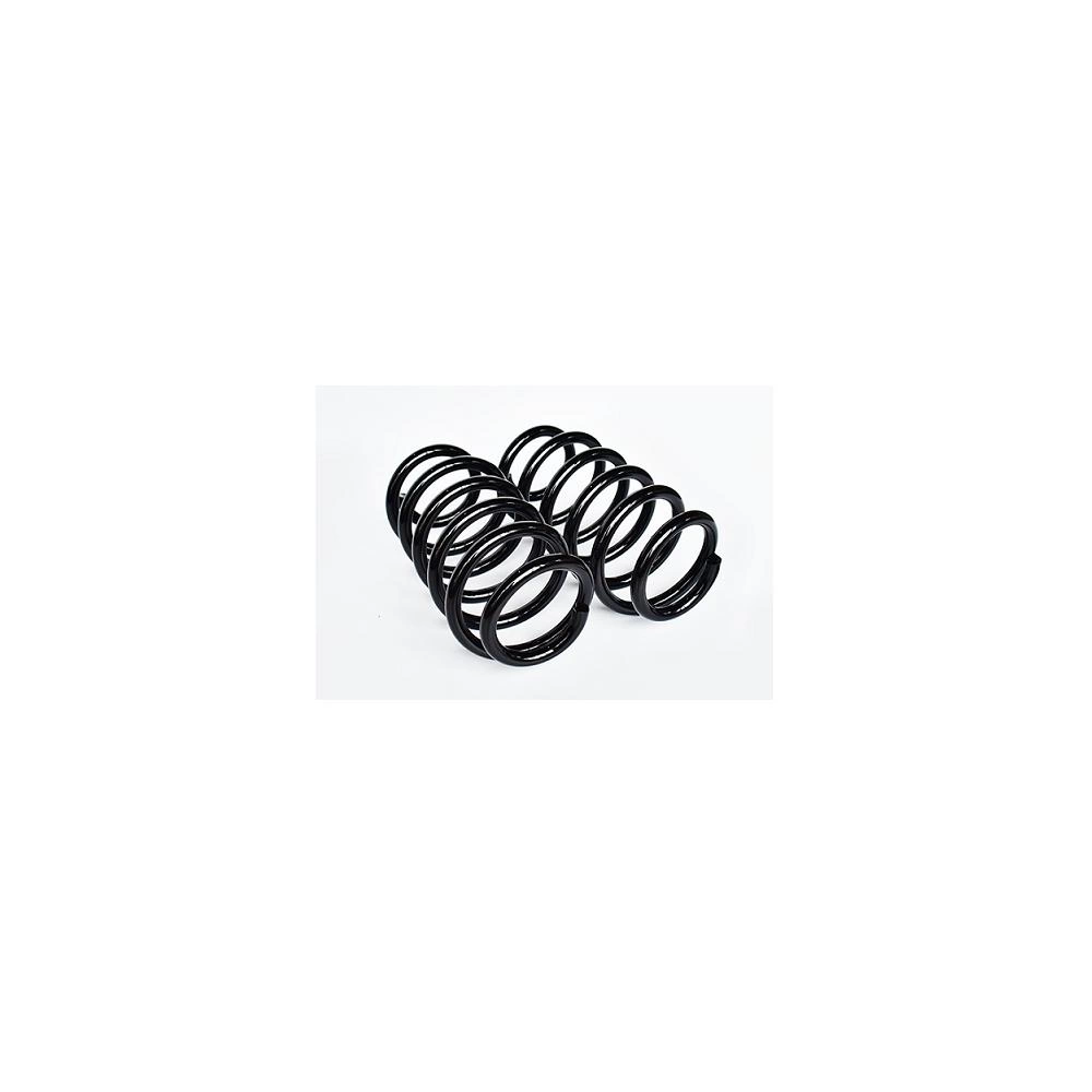 SET 2BC ARC SUSPENSIE SPATE SARCINA UTILA MARITA (L=310mm; D=16mm)