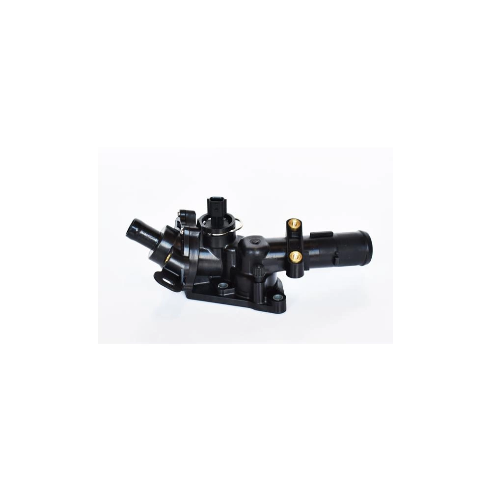 TERMOSTAT LICHID RACIRE