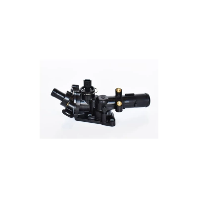 TERMOSTAT LICHID RACIRE