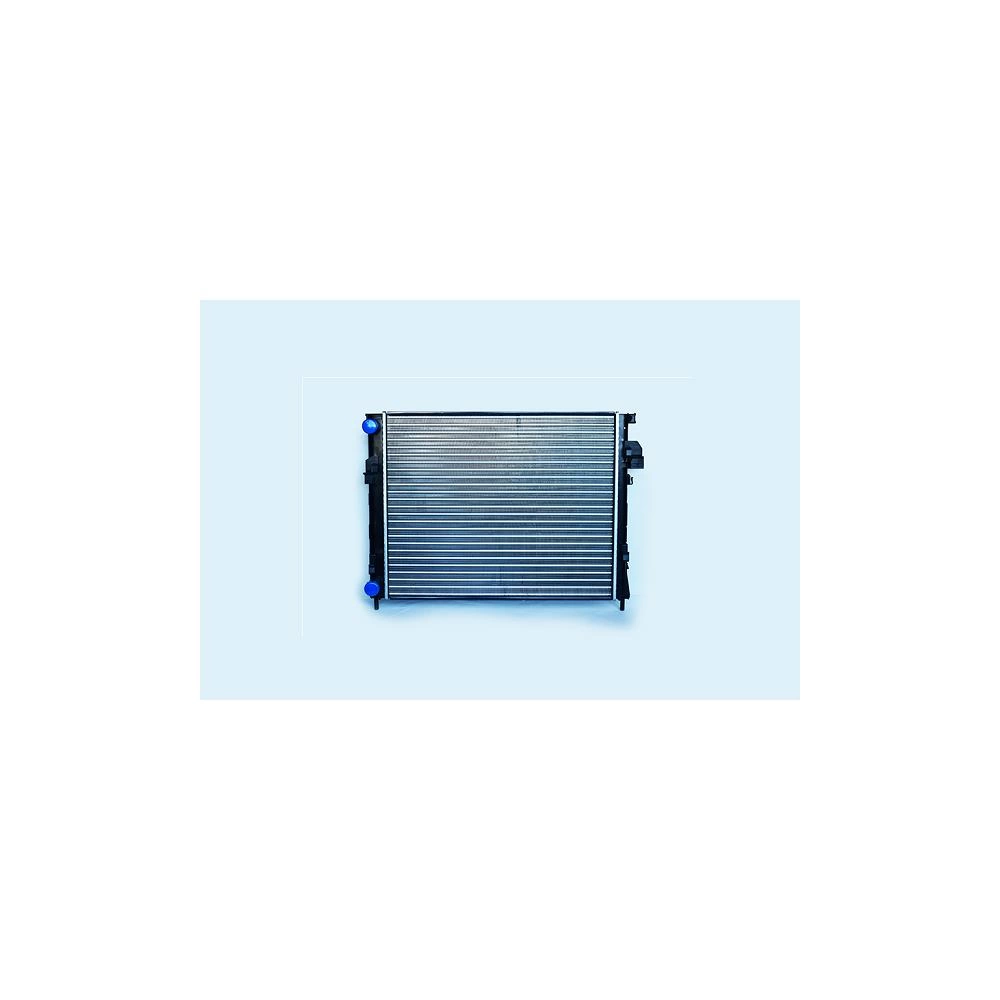 RADIATOR MOTOR