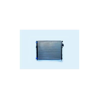 RADIATOR MOTOR