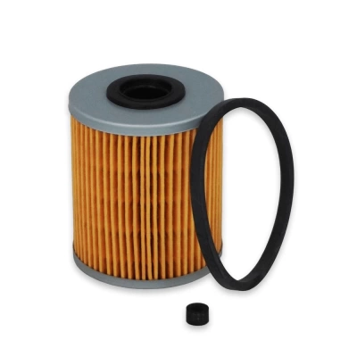 FILTRU COMBUSTIBIL